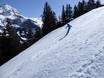 Ski resorts for advanced skiers and freeriding Bern – Advanced skiers, freeriders Adelboden/Lenk – Chuenisbärgli/Silleren/Hahnenmoos/Metsch