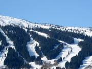 View of the slopes in Voss Resort
