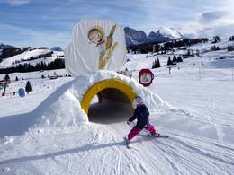 Alpe di Siusi (Seiser Alm)