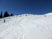 Easy slope Breiteck