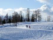 Trail on the Tauplitzalm