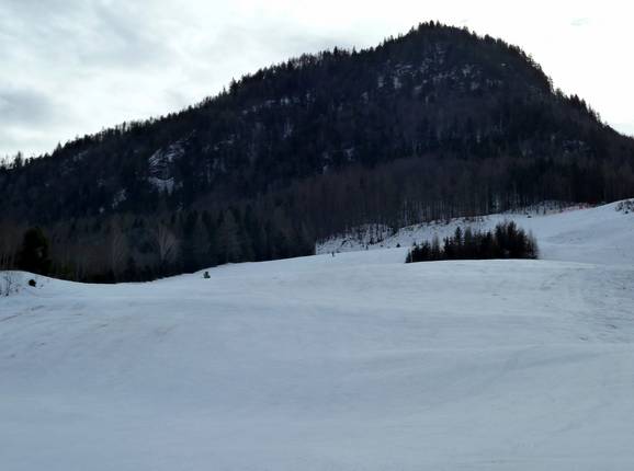 View of the ski slope at Lärchenhof