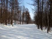 Easy slope Azeria