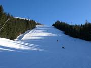 Black slope B20 Bürgerwald