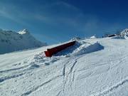 Snowpark Backyards