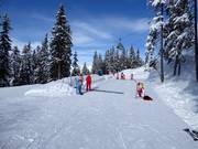 Tip for children  - Skischule Tritscher children’s area
