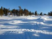 Trail in Lindvallen (Sälen)