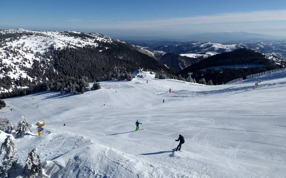 Slope offering Serbia – Slope offering Kopaonik