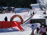 Marmotta