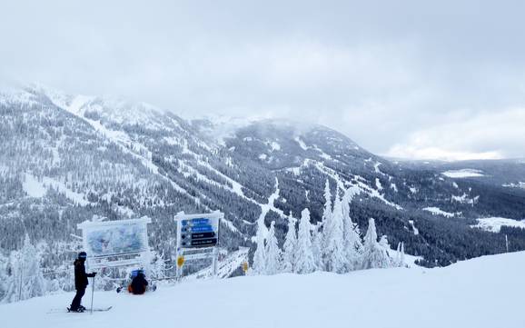 Best ski resort in the Monashee Mountains – Test report Red Mountain Resort – Rossland