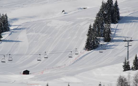Slope preparation Val d'Arly – Slope preparation Espace Diamant – Les Saisies/Notre-Dame-de-Bellecombe/Praz sur Arly/Flumet/Crest-Voland