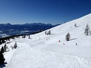 Finsterbach run