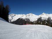 Easy Family Slope 2