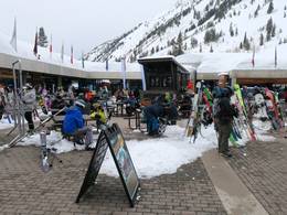 Snowbird