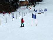 Boxes and small jumps at the lifts