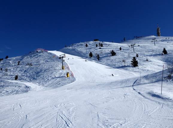 Downhill Gran Pista