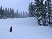 Night skiing