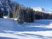 High-altitude trail on the Gerschnialp