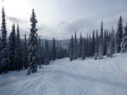 Morning Glory slope