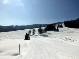 Menzenschwand (St. Blasien) – Spießhorn
