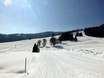 Southern Black Forest: size of the ski resorts – Size Menzenschwand (St. Blasien) – Spießhorn