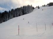The only steeper slope at Sorgschrofen