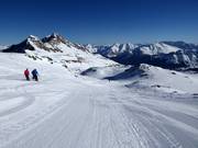 Slopes at Dachberg
