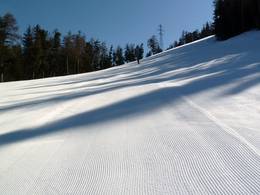 Grächen