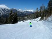 Weißlähn run