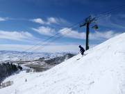 Steep Empire Bowl