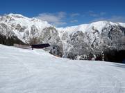 Ladurner Alm slope