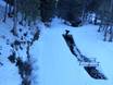 Cross-country skiing Lombardy – Cross-country skiing Ponte di Legno/Tonale/Presena Glacier/Temù (Pontedilegno-Tonale)