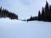 Ski run Sluice Box