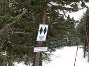 Challenging forest run