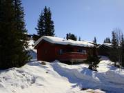 Log cabins directly on the slopes