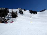 Slope Poligon Triglav-FIS