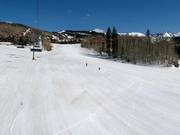 Easy slope Meadows