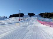 View from the base station along the Piloni slope