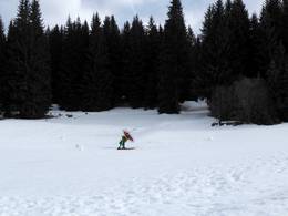 Igman 4