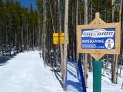 Children’s slope Rip’s Ravine