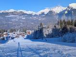 Sairon