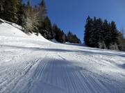 Easy slope Seehof