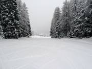 Tambres downhill run