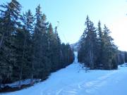 Salina - J-bar