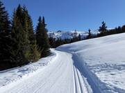 High-altitude trail Platschjoch