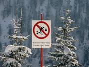 Entering the forest is prohibited