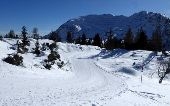 Cross-country skiing Southern Carnic Alps – Cross-country skiing Zoncolan – Ravascletto/Sutrio