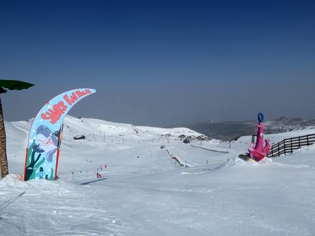Family ski resorts Spain – Families and children Sierra Nevada – Pradollano