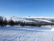 View towards the Fjällgårdsbanan mountain station