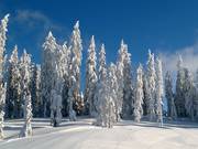Deeply snow-covered winter landscape
